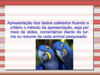 Reconhecer diferentes tipos de animais em extinção; 