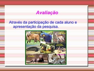 Metodologia Os alunos irão se organizar em duplas seguindo os seguintes passos, com pesquisas por meio da internet. Gráfico de classificação dos animais em  extinção; As duplas escolherão dois nomes dos mesmos;  