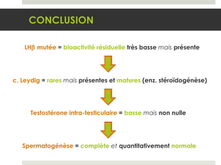 CONCLUSION LH   mutée  =  bioactivité résiduelle  très basse  mais  présente c. Leydig  =  rares   mais  présentes et  matures   (enz. stéroïdogénèse) Testostérone intra-testiculaire  =  basse   mais  non nulle Spermatogénèse  =  complète   et  quantitativement  normale 