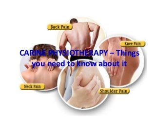 CARINE PHYSIOTHERAPY – Things
you need to know about it
 