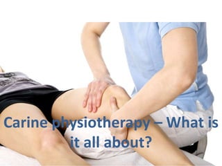 Carine physiotherapy – What is
it all about?
 