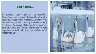 Take notice…
Be curious. Catch sight of the beautiful.
Remark on the unusual. Notice the changing
seasons. Savour the moment, whether you
are walking to work, eating lunch or talking
to friends. Be aware of the world around you
and what you are feeling. Reflecting on your
experiences will help you appreciate what
matters to you.
 