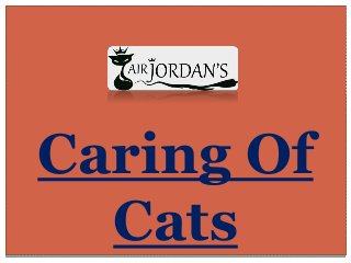 Caring Of
Cats
 