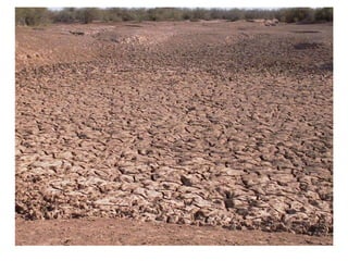 Caring for ecosystems