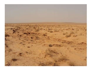 Caring for ecosystems