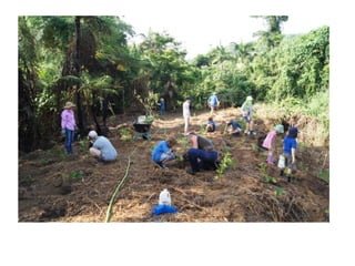Caring for ecosystems