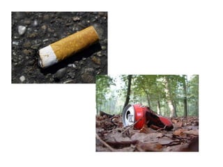 Caring for ecosystems