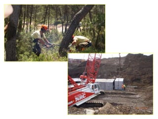 Caring for ecosystems