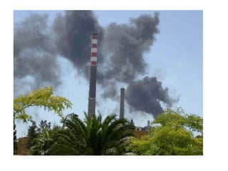 Caring for ecosystems