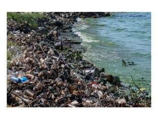 Caring for ecosystems