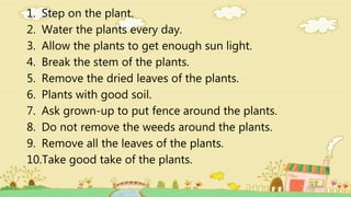 1. Step on the plant.
2. Water the plants every day.
3. Allow the plants to get enough sun light.
4. Break the stem of the plants.
5. Remove the dried leaves of the plants.
6. Plants with good soil.
7. Ask grown-up to put fence around the plants.
8. Do not remove the weeds around the plants.
9. Remove all the leaves of the plants.
10.Take good take of the plants.
 