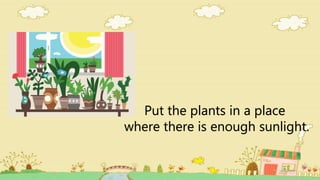 Put the plants in a place
where there is enough sunlight.
 