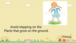 Avoid stepping on the
Plants that grow on the ground.
 