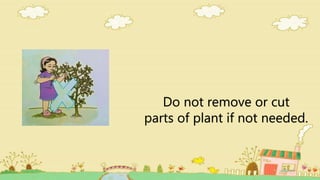 Do not remove or cut
parts of plant if not needed.
 