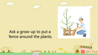 Ask a grow-up to put a
fence around the plants.
 
