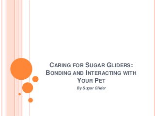 CARING FOR SUGAR GLIDERS:
BONDING AND INTERACTING WITH
         YOUR PET
         By Sugar Glider
 