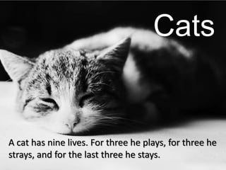 Cats


A cat has nine lives. For three he plays, for three he
strays, and for the last three he stays.
 