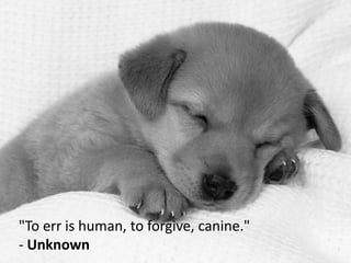 "To err is human, to forgive, canine."
- Unknown
 