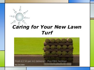 Caring for Your New Lawn
Turf
 