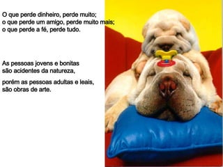 O que perde dinheiro, perde muito; o que perde um amigo, perde muito mais; o que perde a fé, perde tudo. As pessoas jovens e bonitas são acidentes da natureza, porém as pessoas adultas e leais, são obras de arte. 