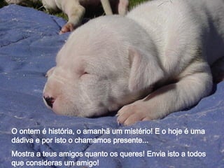 O ontem é história, o amanhã um mistério! E o hoje é uma dádiva e por isto o chamamos presente... Mostra a teus amigos quanto os queres! Envia isto a todos que consideras um amigo! 