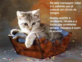Se esta mensagem voltar a ti, saberás que já possuis um círculo de amigos. Assim, quando a receberes, remeta-a a todos que consideras amigos, inclusive à quem te enviou! 