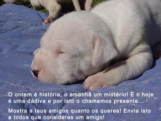 O ontem é história, o amanhã um mistério! E o hoje é uma dádiva e por isto o chamamos presente... Mostra a teus amigos quanto os queres! Envia isto a todos que consideras um amigo! 
