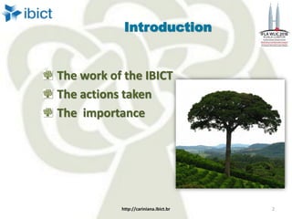 Introduction
The work of the IBICT
The actions taken
The importance
http://cariniana.ibict.br 2
 