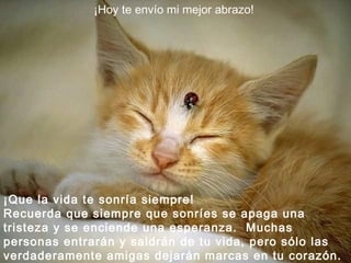 ¡Hoy te envío mi mejor abrazo!  ¡Que la vida te sonría siempre!  Recuerda que siempre que sonríes se apaga una tristeza y se enciende una esperanza.  Muchas personas entrarán y saldrán de tu vida, pero sólo las verdaderamente amigas dejarán marcas en tu corazón. 