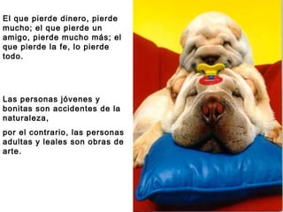 El que pierde dinero, pierde mucho; el que pierde un amigo, pierde mucho más; el que pierde la fe, lo pierde todo.  Las personas jóvenes y bonitas son accidentes de la naturaleza,  por el contrario, las personas adultas y leales son obras de arte. 