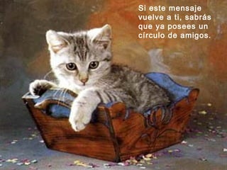 Si este mensaje vuelve a ti, sabrás que ya posees un círculo de amigos. 