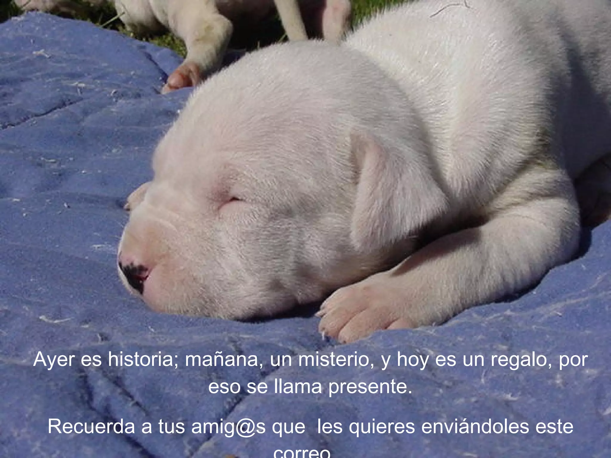 Ayer es historia; mañana, un misterio, y hoy es un regalo, por eso se llama presente. Recuerda a tus amig@s que  les quieres enviándoles este correo.  