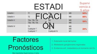 20%
95%
88%
59%
Supervi
vencia a
5 años
Factores
Pronósticos
Más importantes Supervivencia a 5 años
1. Extensión local del tumor
2. Metástasis ganglionares regionales
3. Evidencia enf. metastásica al momento del Dx
ESTADI
FICACI
ÓN
 