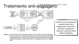 Tratamiento anti-angiógeno
Bases Moleculares del Tx Anti-
ANGIÓGENO
El VEGF es el más importante
mediador directo de la
angiogénesis a través de la
promoción, proliferación,
migración y sobrevida de las
células endoteliales.
 