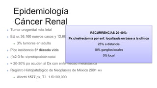 Epidemiología
Cáncer Renal
Tumor urogenital más letal
EU 🇺🇸 36,160 nuevos casos y 12,660 muertes en 2005
3% tumores en adulto
Pico incidencia 6a década vida
♂x2-3 fc: s/predisposición racial
≈ 20-30% px acuden al Dx con enfermedad metastásica
Registro Histopatológico de Neoplasias de México 2001 🇲🇽
Afectó 1577 px, T.I. 1.6/100,000
RECURRENCIAS 20-40%:
Px c/nefrectomía por enf. localizada en base a la clínica
25% a distancia
10% ganglios locales
5% local
 