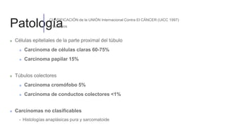 Patología
Células epiteliales de la parte proximal del túbulo
Carcinoma de células claras 60-75%
Carcinoma papilar 15%
Túbulos colectores
Carcinoma cromófobo 5%
Carcinoma de conductos colectores <1%
Carcinomas no clasificables
- Histologías anaplásicas pura y sarcomatoide
CLASIFICACIÓN de la UNIÓN Internacional Contra El CÁNCER (UICC 1997)
5 Subtipos
 