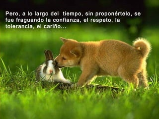 Pero, a lo largo del  tiempo, sin proponértelo, se fue fraguando la confianza, el respeto, la tolerancia, el cariño... 