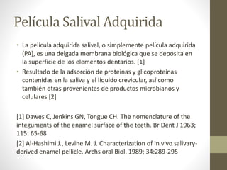 Película Salival Adquirida
• La película adquirida salival, o simplemente película adquirida
(PA), es una delgada membrana biológica que se deposita en
la superficie de los elementos dentarios. [1]
• Resultado de la adsorción de proteínas y glicoproteínas
contenidas en la saliva y el líquido crevicular, así como
también otras provenientes de productos microbianos y
celulares [2]
[1] Dawes C, Jenkins GN, Tongue CH. The nomenclature of the
integuments of the enamel surface of the teeth. Br Dent J 1963;
115: 65-68
[2] Al-Hashimi J., Levine M. J. Characterization of in vivo salivary-
derived enamel pellicle. Archs oral Biol. 1989; 34:289-295
 