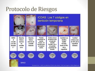 Protocolo de Riesgos
 