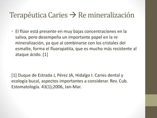 Terapéutica Caries  Re mineralización
• El flúor está presente en muy bajas concentraciones en la
saliva, pero desempeña un importante papel en la re
mineralización, ya que al combinarse con los cristales del
esmalte, forma el fluorapatita, que es mucho más resistente al
ataque ácido. [1]
[1] Duque de Estrada J, Pérez JA, Hidalgo I. Caries dental y
ecología bucal, aspectos importantes a considerar. Rev. Cub.
Estomatología. 43(1);2006, Jan-Mar.
 