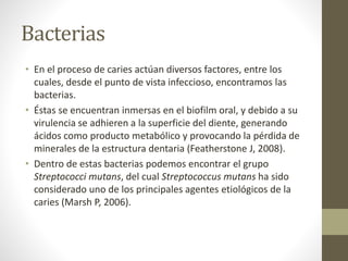 Bacterias
• En el proceso de caries actúan diversos factores, entre los
cuales, desde el punto de vista infeccioso, encontramos las
bacterias.
• Éstas se encuentran inmersas en el biofilm oral, y debido a su
virulencia se adhieren a la superficie del diente, generando
ácidos como producto metabólico y provocando la pérdida de
minerales de la estructura dentaria (Featherstone J, 2008).
• Dentro de estas bacterias podemos encontrar el grupo
Streptococci mutans, del cual Streptococcus mutans ha sido
considerado uno de los principales agentes etiológicos de la
caries (Marsh P, 2006).
 
