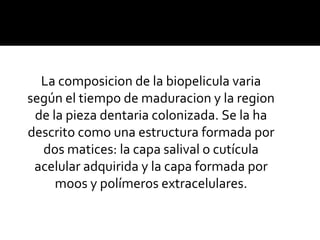 La composicion de la biopelicula varia
según el tiempo de maduracion y la region
de la pieza dentaria colonizada. Se la ha
descrito como una estructura formada por
dos matices: la capa salival o cutícula
acelular adquirida y la capa formada por
moos y polímeros extracelulares.

 