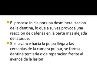  El proceso inicia por una desmineralizacion

de la dentina, lo que a su vez provoca una
reaccion de defensa en la parte mas alejada
del ataque.
 Si el avance hacia la pulpa llega a las
cercanias de la camara pulpar, se forma
dentina terciaria o de reparacion frente al
avance de la lesion

 