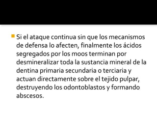  Si el ataque continua sin que los mecanismos

de defensa lo afecten, finalmente los ácidos
segregados por los moos terminan por
desmineralizar toda la sustancia mineral de la
dentina primaria secundaria o terciaria y
actuan directamente sobre el tejido pulpar,
destruyendo los odontoblastos y formando
abscesos.

 