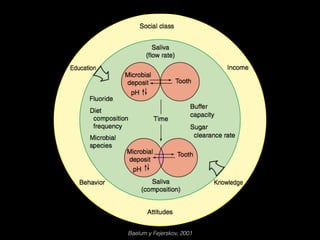 Baelum y Fejerskov, 2001
 