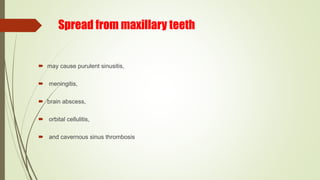 Spread from maxillary teeth
 may cause purulent sinusitis,
 meningitis,
 brain abscess,
 orbital cellulitis,
 and cavernous sinus thrombosis
 