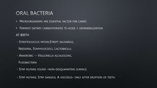 • MICROORGANISMS ARE ESSENTIAL FACTOR FOR CARIES
• FERMENT DIETARY CARBOHYDRATES TO ACIDS > DEMINERALIZATION
AT BIRTH
- STREPTOCOCCUS MITIOR,STREPT SALIVARIUS,
NIESSERIA, STAPHYLOCOCCI, LACTOBACILLI.
- ANAEROBIC -- VEILLONELLA ALCALESCENS,
FUSOBACTERIA
- STRP MUTANS FOUND –NON-DESQUAMATING SURFACE.
- STRP MUTANS, STRP SANGIUS, A VISCOSUS– ONLY AFTER ERUPTION OF TEETH.
 