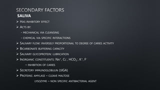 SALIVA
 HAS INHIBITORY EFFECT
 ACTS BY:
- MECHANICAL VIA CLEANSING
- CHEMICAL VIA SPECIFIC INTERACTIONS
 SALIVARY FLOW: INVERSELY PROPORTIONAL TO DEGREE OF CARIES ACTIVITY
 BICARBONATE BUFFERING CAPACITY
 SALIVARY GLYCOPROTEIN: LUBRICATION
 INORGANIC CONSTITUENTS: NA+, CL-, HCO3
-, K+, F-
– INHIBITION OF CARIES
 SECRETORY IMMUNOGLOBULIN (SIGA)
 PROTEINS: AMYLASE – CLEAVE MALTOSE
LYSOZYME – NON SPECIFIC ANTIBACTERIAL AGENT
 