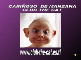 www.club-the-cat.es.tl CARIÑOSO  DE MANZANA CLUB THE CAT 