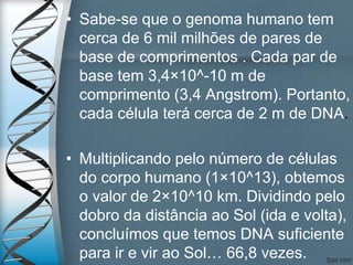 • Sabe-se que o genoma humano tem
cerca de 6 mil milhões de pares de
base de comprimentos . Cada par de
base tem 3,4×10^-10 m de
comprimento (3,4 Angstrom). Portanto,
cada célula terá cerca de 2 m de DNA.
• Multiplicando pelo número de células
do corpo humano (1×10^13), obtemos
o valor de 2×10^10 km. Dividindo pelo
dobro da distância ao Sol (ida e volta),
concluímos que temos DNA suficiente
para ir e vir ao Sol… 66,8 vezes.
 